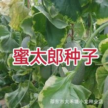 ��̫�ɹ��ܹϷN�Ӵ���SƤ���ܹϷN��������½����۹ϷN�Ӵ��ļ�