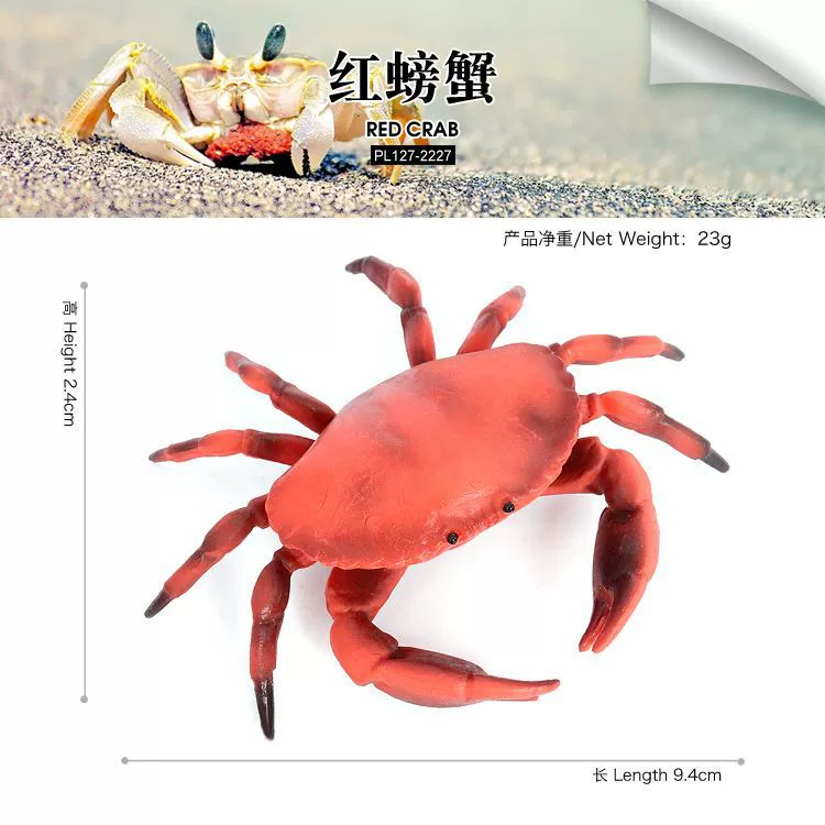 Реалистичная морская животная модель, обучающая игрушка, морское дно