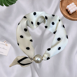 ¿ʽ朴ۑ˽zcIŮʿbi