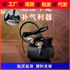 Factory wholesale micro -pump car insurance tire pump 12V mini car gas pump electric pump
