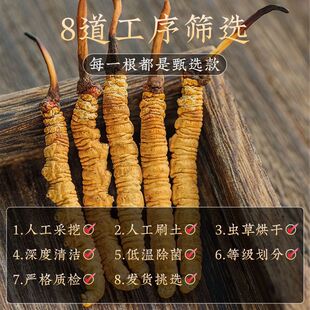 �؃rҰ�����x�Ĳ��x���x�������������a�B�����������Ұ���x��