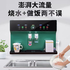 加熱一體機家用淨水器批發 直飲RO淨水器反滲透冷熱一體機語音款