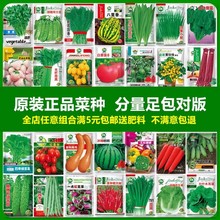 ߲˷Nļ̨ͥͥԺײNֲײ۲_ݴȫ