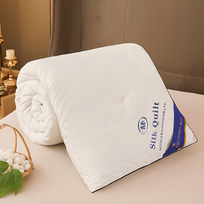Hotel Quilt Silk Quilt Homestay Summer White Spring and Autumn Quilt Warm Winter Quilt Hotel Double Dormitory Quilt