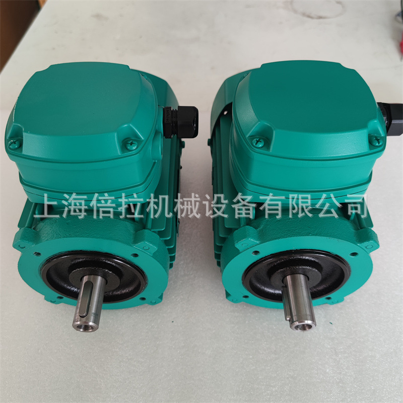 化工工厂立式高压管道增压泵Helix FIRST V 206电机维修配件更换