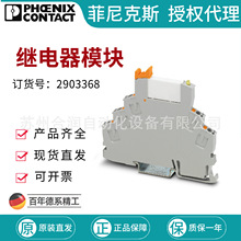 �����˹�̵���ģ�� - RIF-0-RPT-24DC/21AU 2903368
