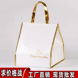 冰袋冰包;冷链物流包装