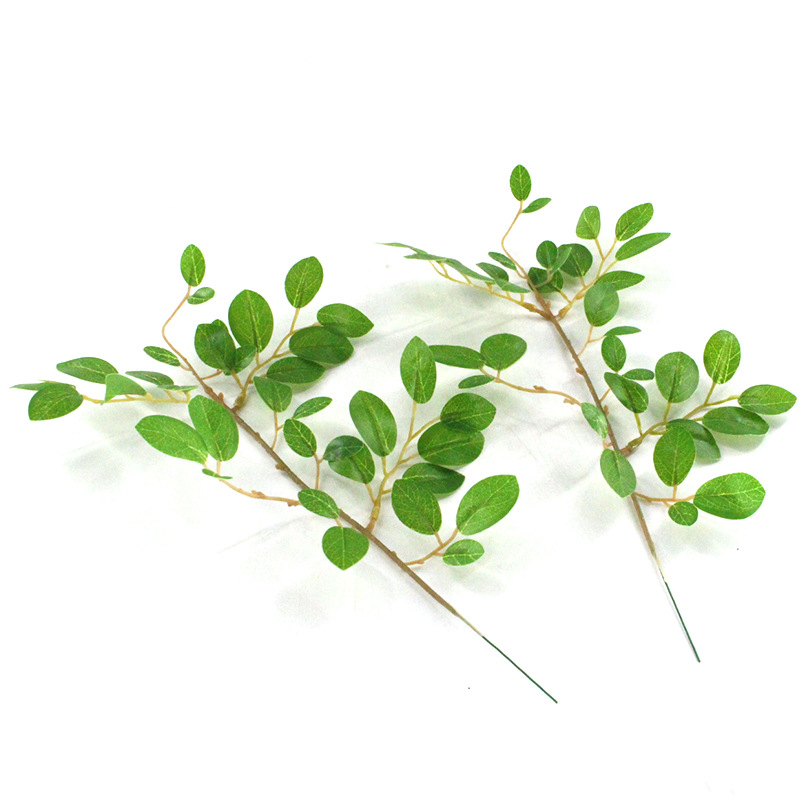 XRB-254 檵木叶单枝33叶0 (8).jpg