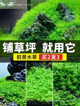 �~���쾰ˮ��ǰ�����ذ������ƺ����ţëſ���ձ����������ֲ��