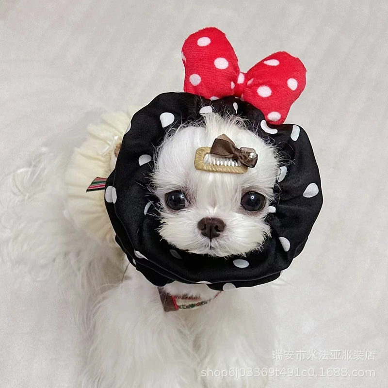 Мифайя домашняя кошка собака Марцис Йоркшир длинные волосы