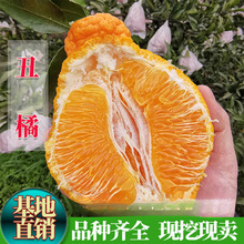 ���ٹ�����޽Ӳ�֪��������������������٘����˹�������