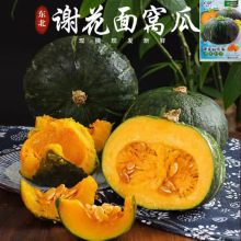 �x�����ϹϷN����Ʒ�N�|���C�ϷN���������GƤ�S��Ϲ��N���ѷN