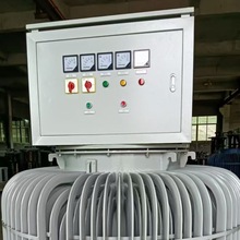 �����Vɽ��ʯ�C����늉���������������TNSJA-500kva�ͽ�ʽ������