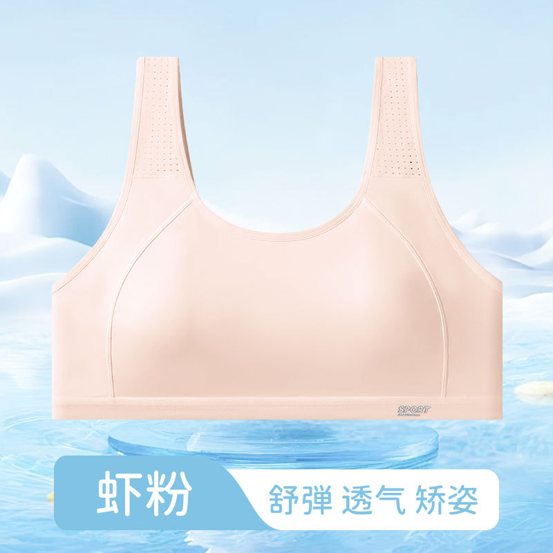 새우가루
