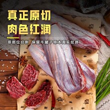牛腱子肉生鲜金钱腱新货鲜冻三花趾牛腱芯牛健子进口生鲜冷冻批发