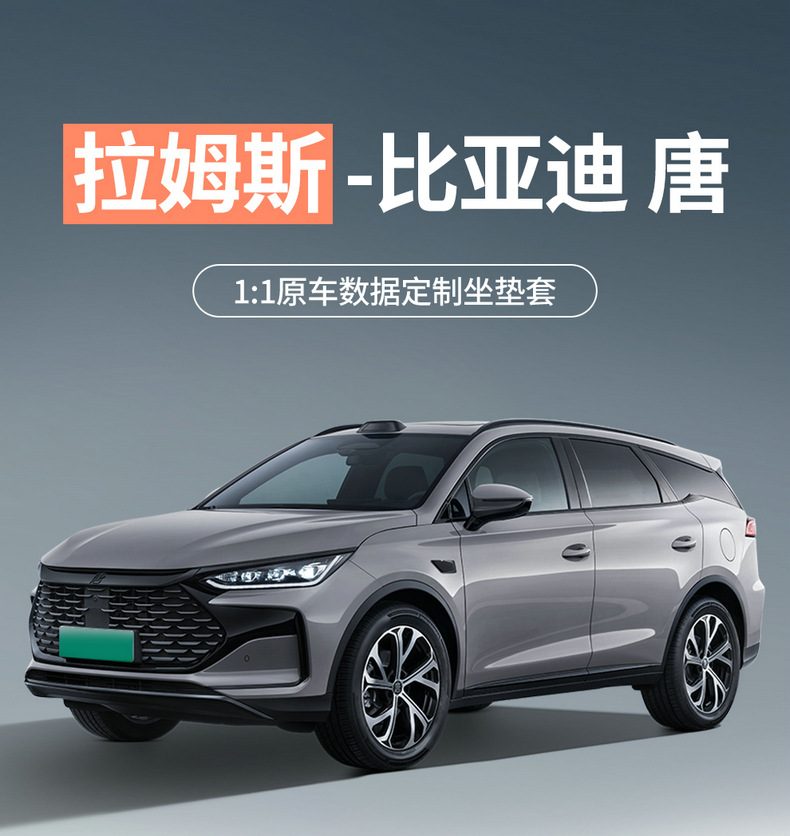 BYD Tang DM-i 2025 Suede Seat Cushion Four Seasons