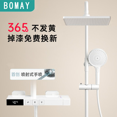 Platinum Beauty Gray Shower Head Home Shower Set Bathroom Pressure Boost Rain Shower Thermostatic Digital Rain Shower Set