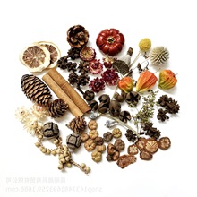 �����N����ɻ����}�Q������b�Ʒ�ɻ��ɹ�ֲ�����DIY���