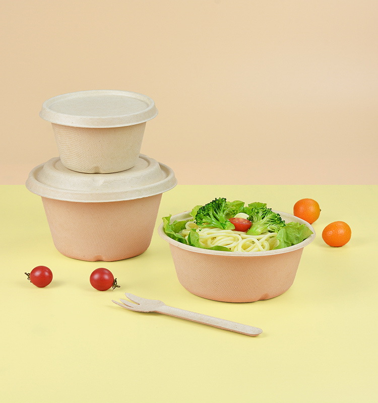 甘蔗餐盒系列11