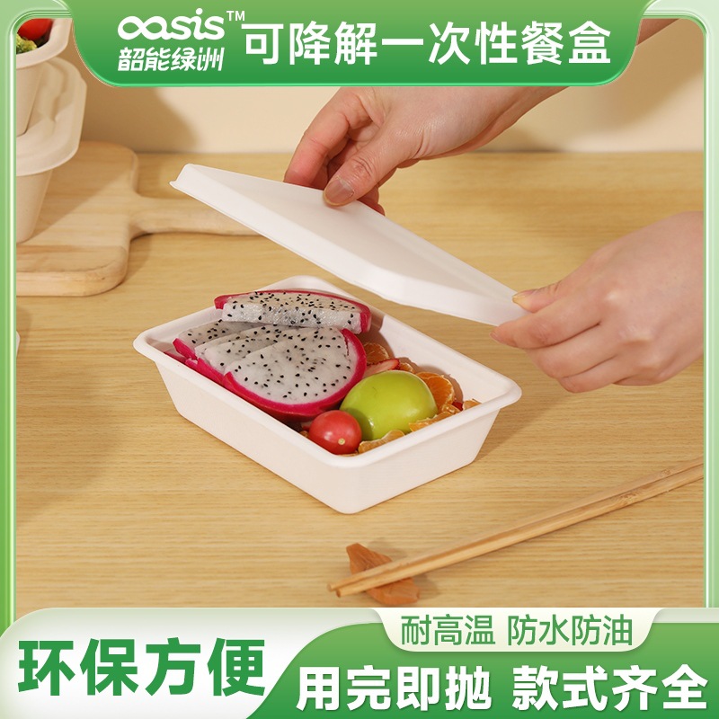 Shaogeng oasis Pulpa de caña de azúcar protección del medio ambiente desechable vajilla borde estrecho 500ml caja cuadrada degradable compostable
