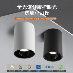 明装筒灯深杯円形防耀射灯無穴吸頂業務店舗通路無主灯客間照明