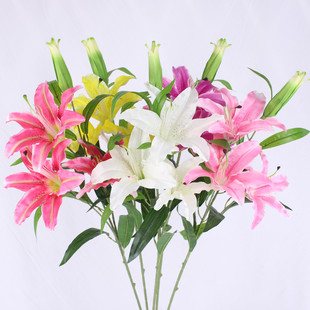 �S�ҹ�������ٺϻ� ��֧3��1�ٰٺϻ�c�ҾӔzӰ�bٻ�