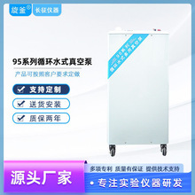 �����SHZ-95A/B����^���P�ѭ�hˮʽ������ձÌ���Ҍ���