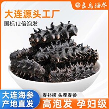 工厂货源海参干货批发辽刺参淡干海参干货产地批发一件代发