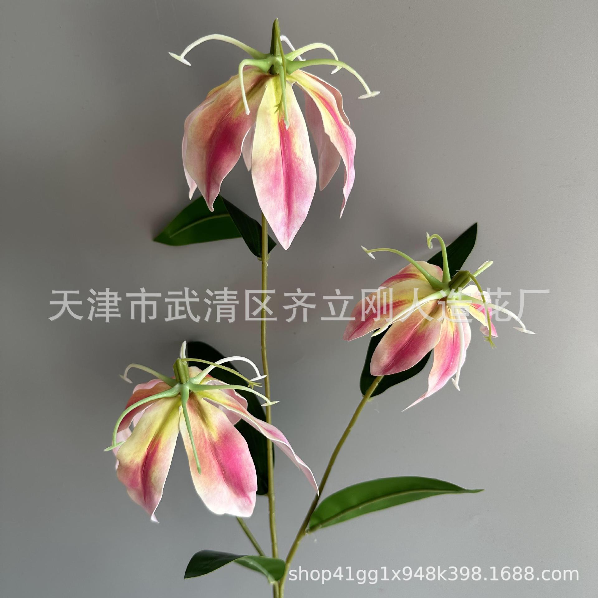 13호