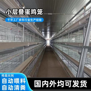 全自动小层叠蛋鸡笼热镀锌养殖笼自动喂料捡蛋清粪自动化养殖设备