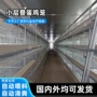 自动化养殖喂料清粪蛋鸡笼