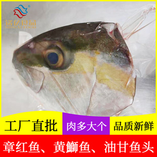 油甘魚供應圖片 海量高清油甘魚供應圖片大全 阿里巴巴