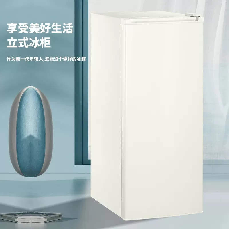 Chigo/志高小冰柜家用小型冷冻商用食堂冷柜单转换抽屉式节能冷柜