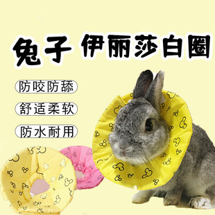 ��������ɯ��Ȧ��ҧ�Ȧ�^���ί�Ƥ�w����ҧ�Ԛ����{��������Ʒ