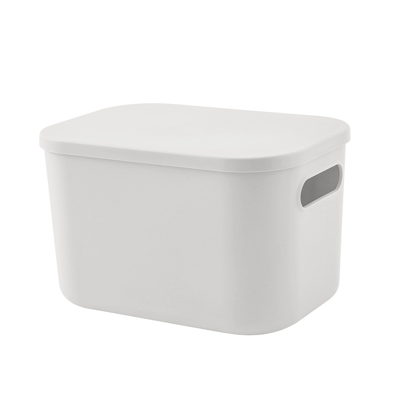 Cesta de almacenamiento para artículos diversos, snacks, cosméticos, caja de almacenamiento, organizador de ropa para dormitorio, caja de almacenamiento de escritorio con tapa de plástico