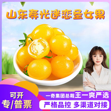 【严选】山东寿光迷恋圣女果 代发3/5斤新鲜洋柿子应季水果西红柿