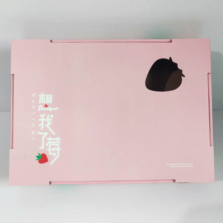 5개의 층 칼라 박스