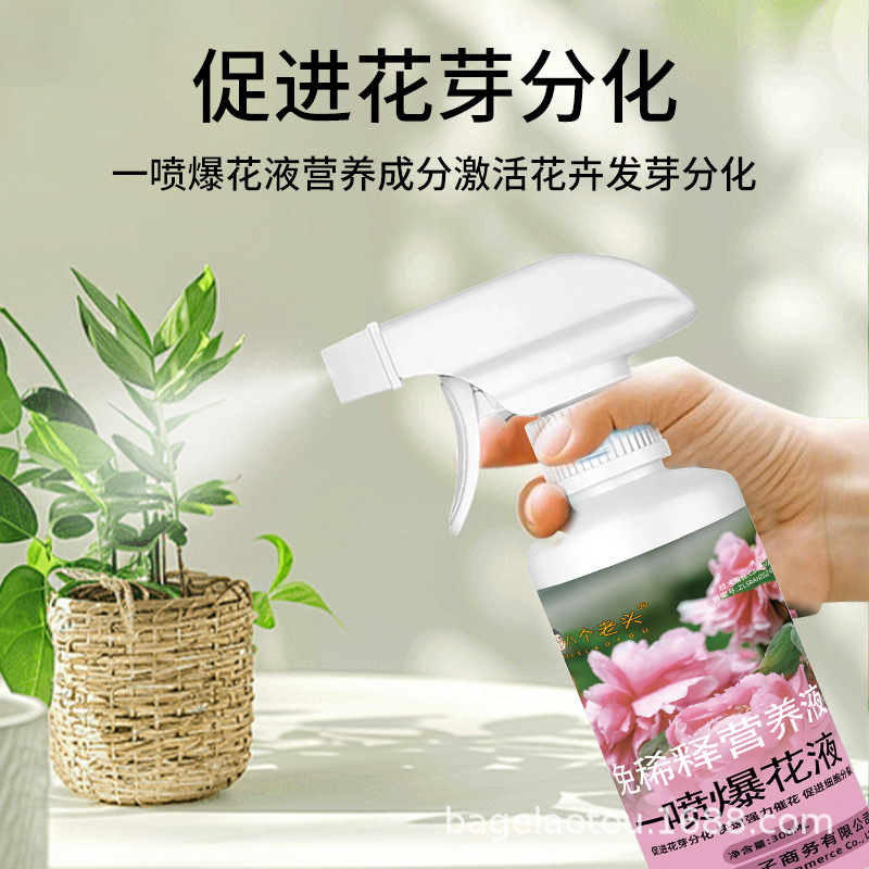 一喷爆花液花芽分化瓜果果树促进花芽分化增产增收叶面肥花果增产|undefined
