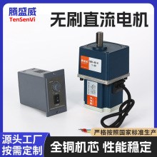 腾盛威永磁交流电机减速箱直齿同轴式硬齿面升降机螺丝机流水线