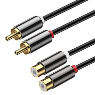 2 RCA ���L��,RCA ��|,僽��~�⚤���� 2 RCA ����ĸ���w���l