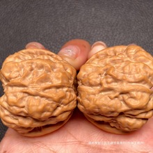 文玩核桃金蟾蛤蟆头野生小众大尺寸文玩核桃桃核新中式风