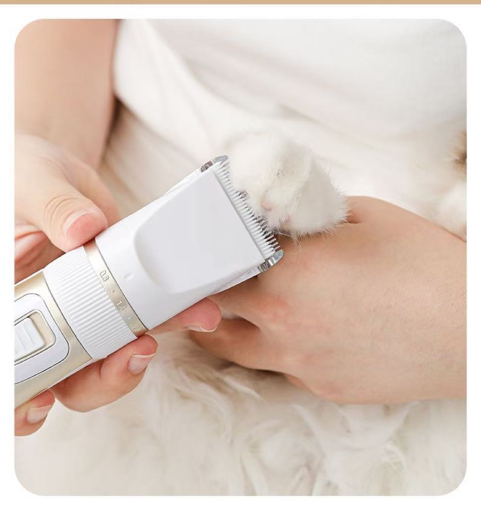 416959d6-6667-4415-b088-811d2fa8d651.jpe