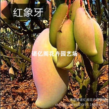 �t����â��������������â����޽Ә����ļ��Nֲ����Y�����Ե���