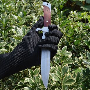 ���N��Ʒ ���I�z�����o���L�����ײ����S�@��Ұ�I������o