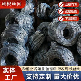 厂家定制镀锌铁丝电镀建筑工地防锈打包0.15-5.5mm冷拔丝批发