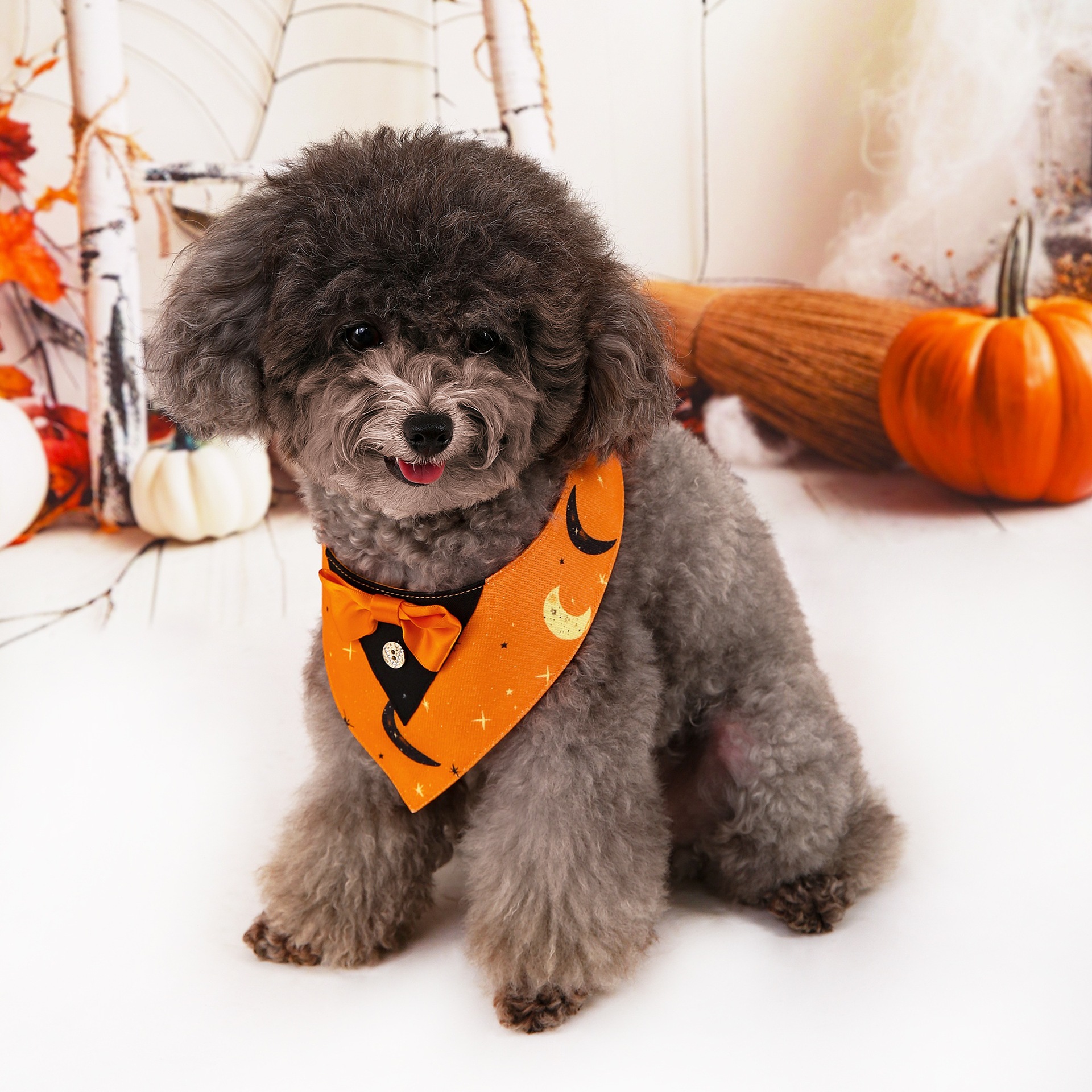 Halloween nuevo traje de mascotas toallas triangulares toallas de saliva collar de mascotas fábrica de ropa de perro en stock