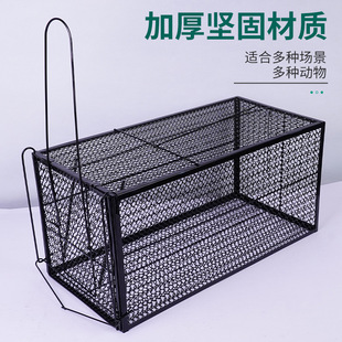 �S�Ҽ��Ñ��Ⲷ؈�\׽؈�\ץ؈�\؈�CҰ؈����؈����؈����