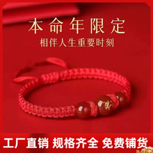 2026�R�걾����t�K����R��ţ��ʮ����Ф��Ů�������K���l