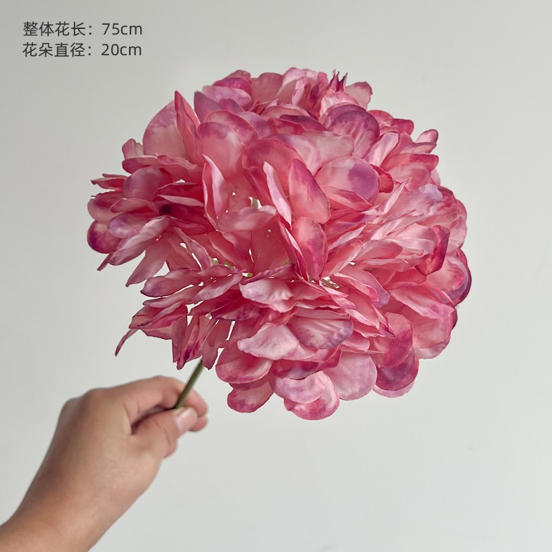 渐变粉面包绣球.jpg