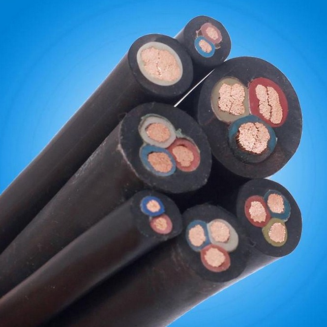 2023-12-21 11:00:03.jpg